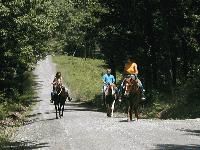 Old Dominion Trail Rides